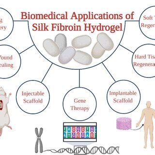  Silk Fibroin: Revolutionäre Biokompatibilität für Nanotechnologische Anwendungen!