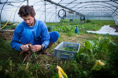  Uroughby's: Ein vielseitiges Werkzeug für die nachhaltige Landwirtschaft?!